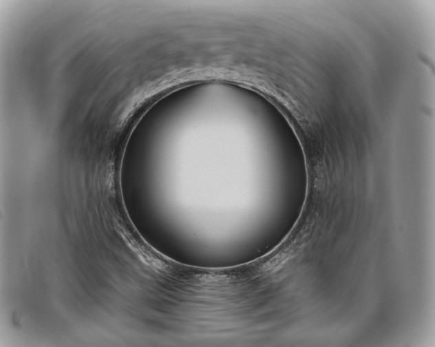 X0000098011499200804071314