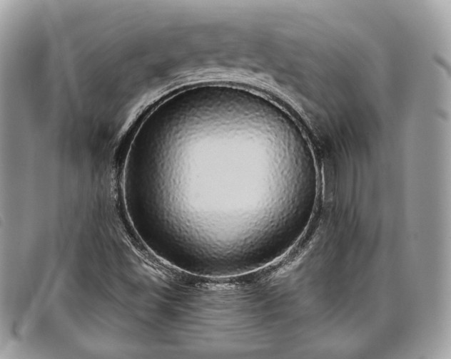 X0000098011501200804071314