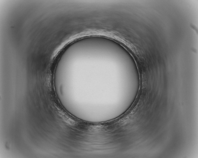 X0000098011502200804071314
