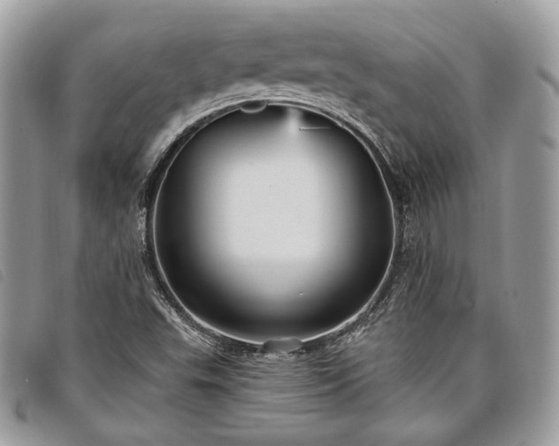 X0000098011503200804071314