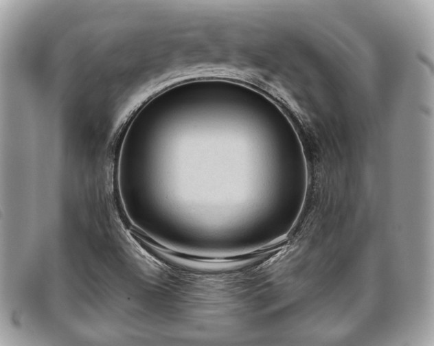 X0000098011504200804071314