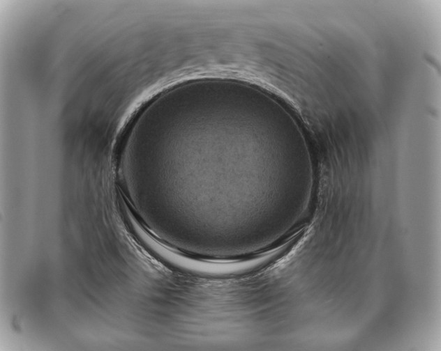 X0000098011506200804071314
