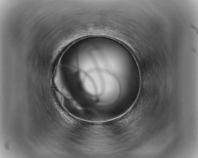 X0000098011507200804071314