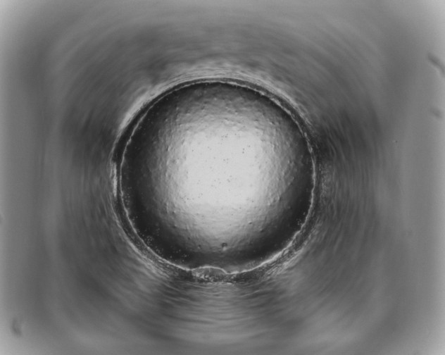 X0000098011509200804071314