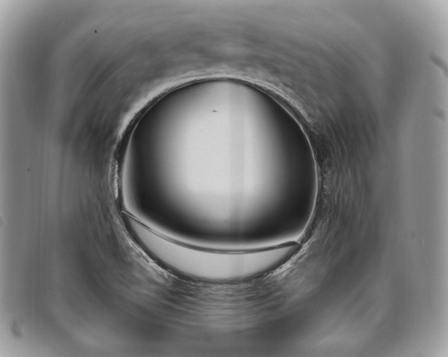 X0000098011510200804071314