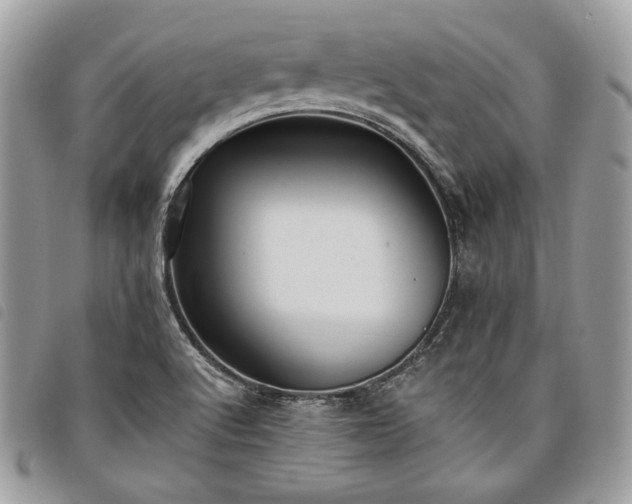 X0000098011512200804071314