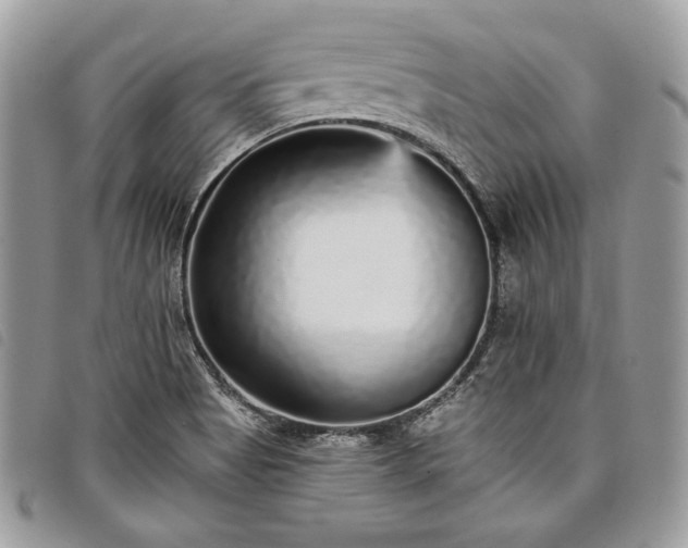 X0000098011513200804071314