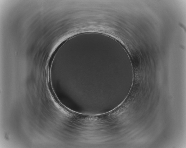 X0000098011515200804071314