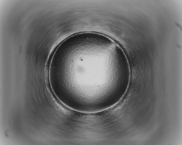 X0000098011517200804071314