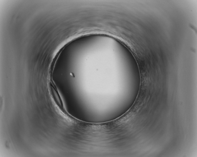 X0000098011518200804071314