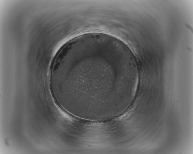 X0000098011519200804071314