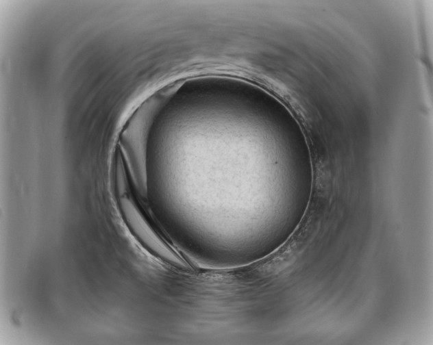 X0000098011520200804071314
