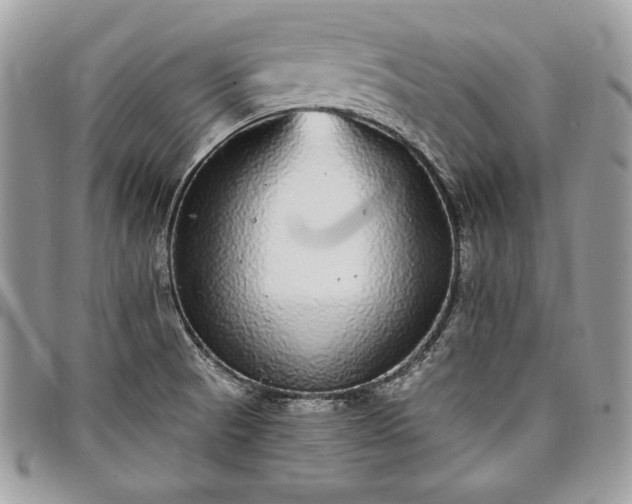 X0000098011521200804071314