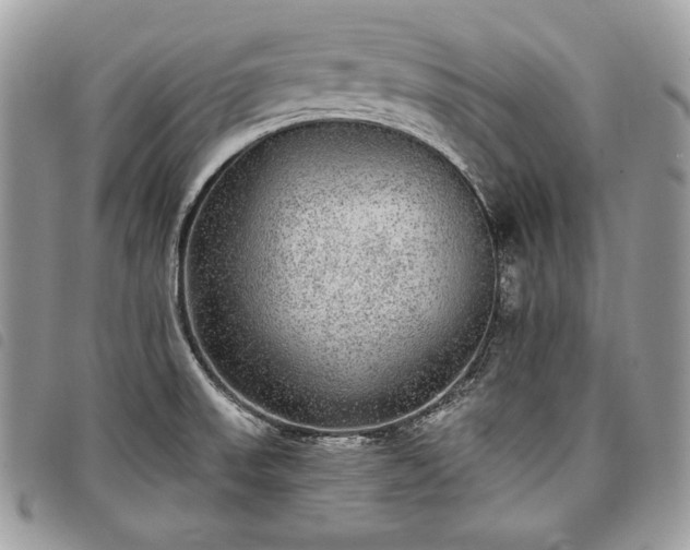 X0000098011523200804071314