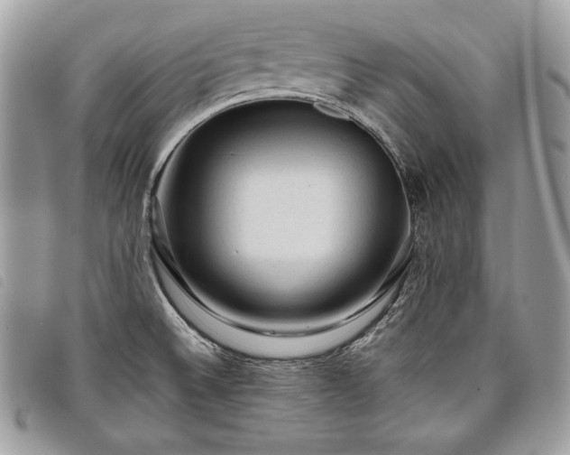 X0000098011524200804071314