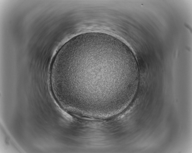 X0000098011525200804071314