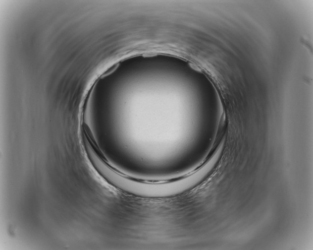 X0000098011528200804071314