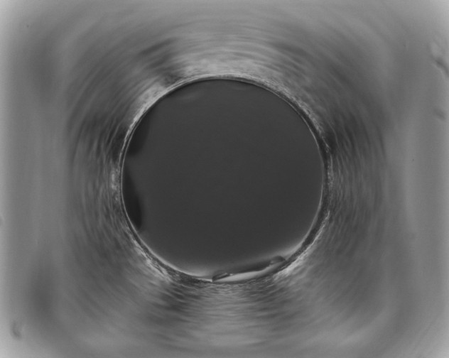 X0000098011529200804071314