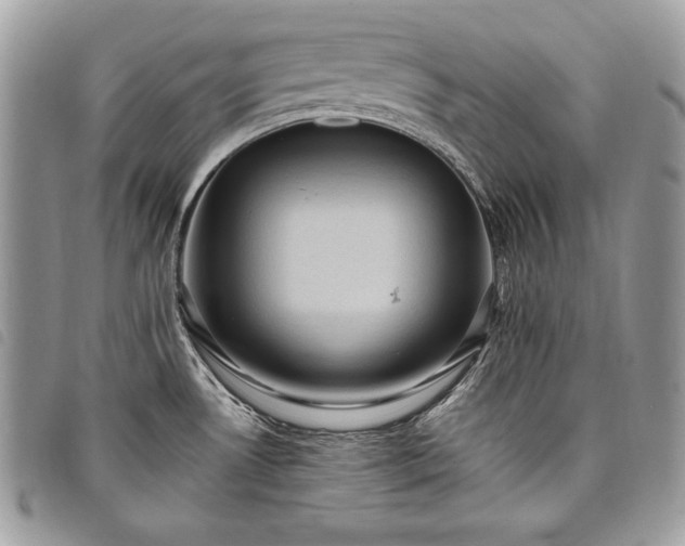 X0000098011530200804071314
