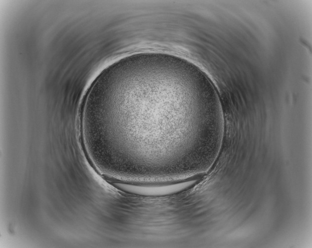 X0000098011531200804071315