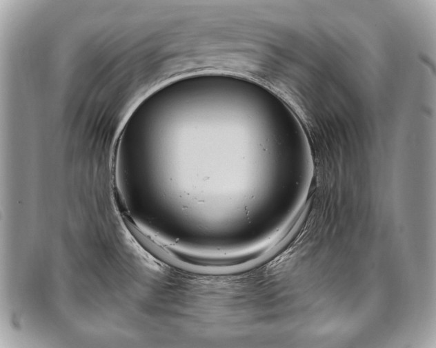 X0000098011532200804071315