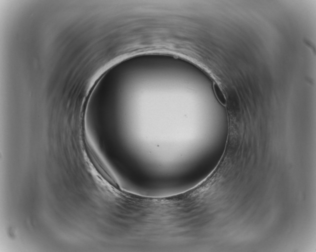 X0000098011534200804071315
