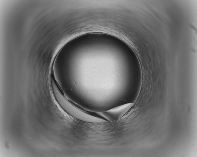 X0000098011536200804071315