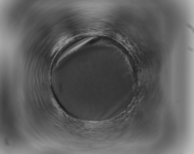 X0000098010002200804111244