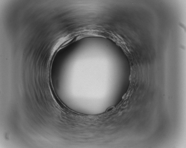 X0000098010003200804111244