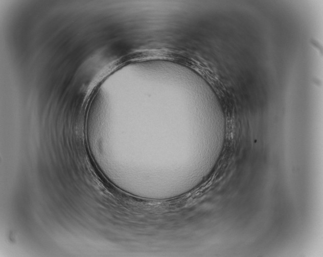 X0000098010004200804111244