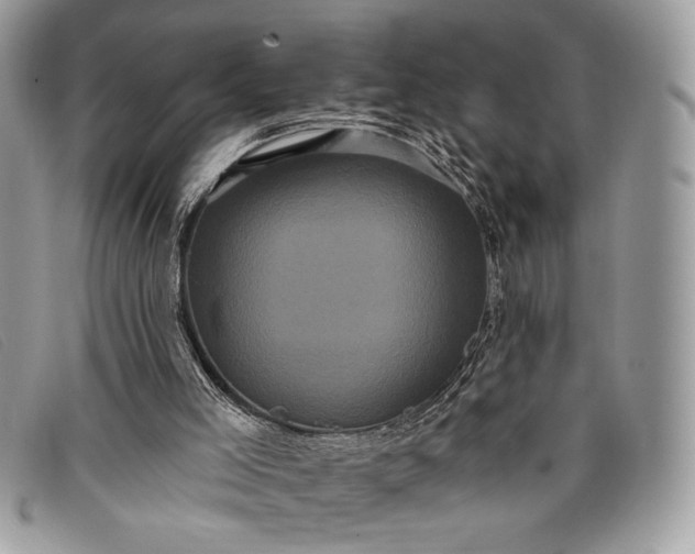 X0000098010005200804111244