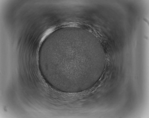 X0000098010006200804111244