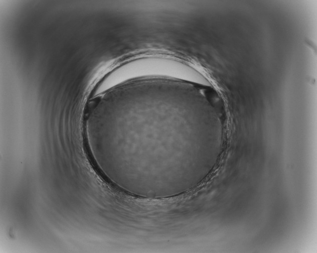 X0000098010007200804111244