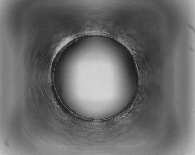 X0000098010008200804111244