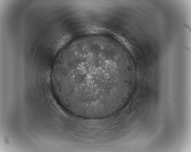 X0000098010010200804111244