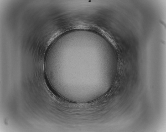 X0000098010011200804111244