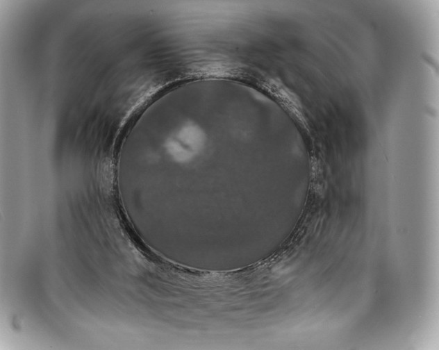 X0000098010012200804111244