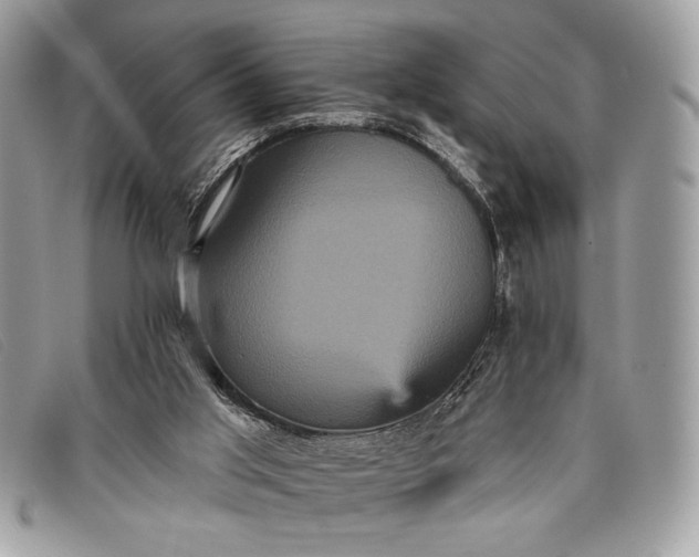 X0000098010013200804111244