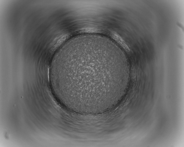 X0000098010014200804111244