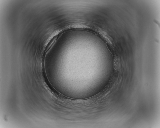 X0000098010015200804111244