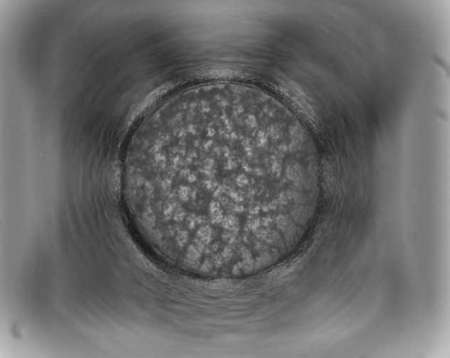 X0000098010016200804111244