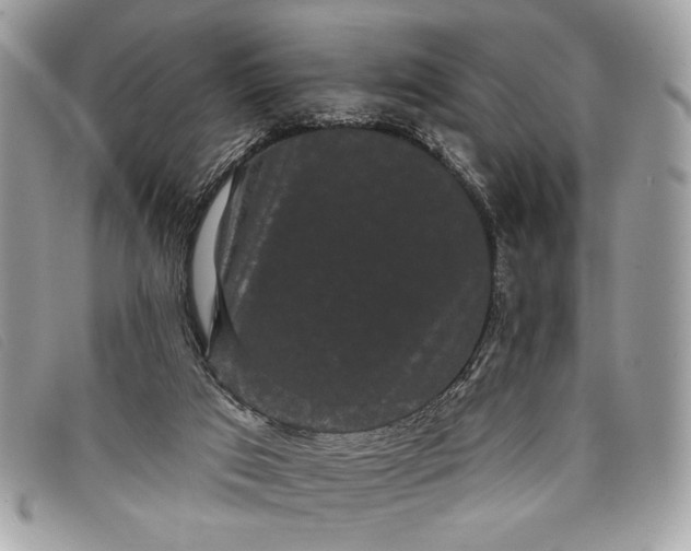 X0000098010017200804111244