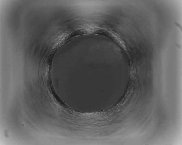 X0000098010018200804111244