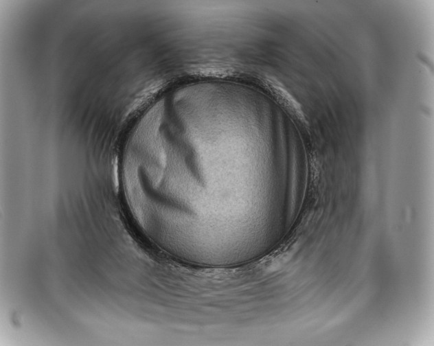 X0000098010020200804111244