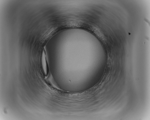 X0000098010021200804111244