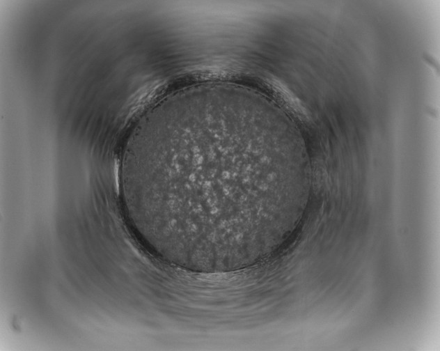 X0000098010022200804111244