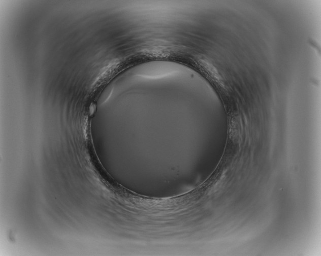 X0000098010023200804111244