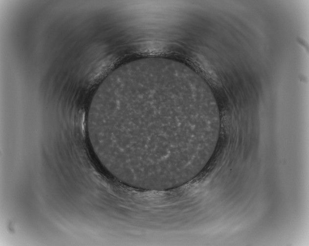 X0000098010024200804111244