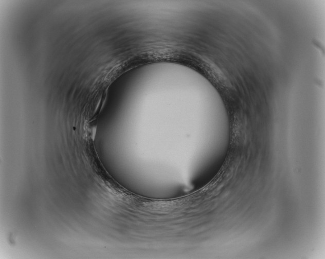 X0000098010025200804111244