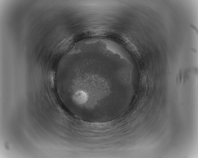 X0000098010026200804111244